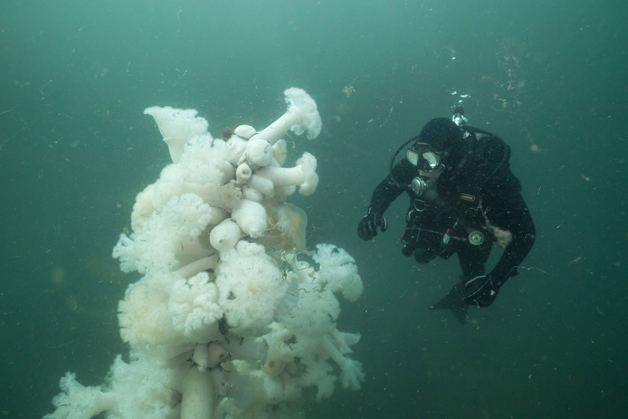 Month 6: Scuba & Inland
